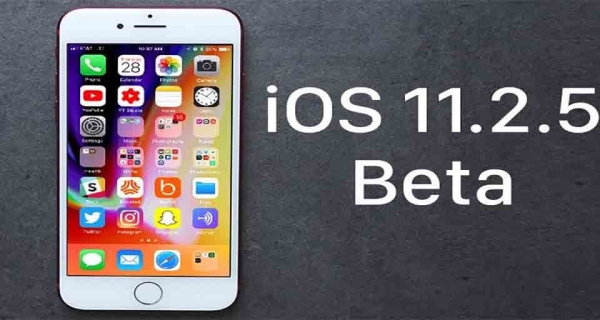 iOS 11.2.5 update bug Image