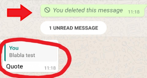 how to Read deleted Whatsapp message trick Image