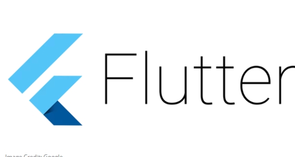 Google Flutter App - how to use the app  tutorial Image