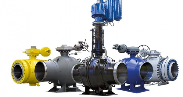 Two Piece Ball Valves in India Image