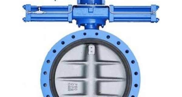 Types of Butterfly Valves Image