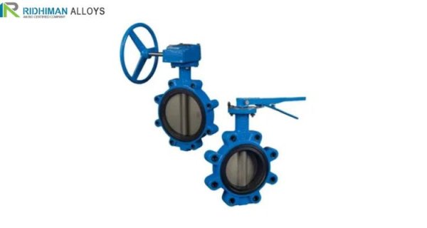 India's Top Butterfly Valve Manufacturer and Supplier – Quality You Can Trust Image